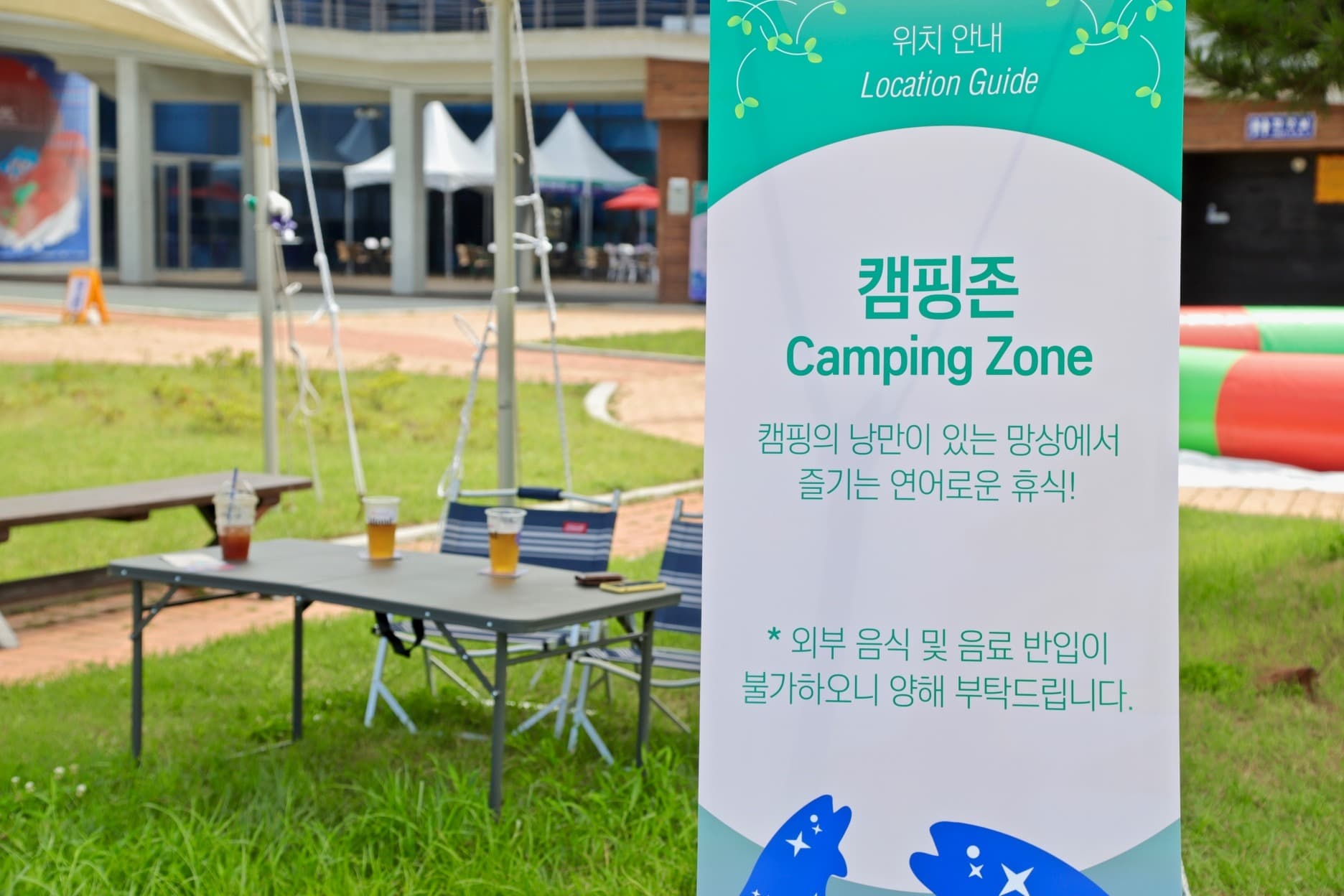 2019 망상연어페스타: 동해의 낭만, 연어의 망상 - 9