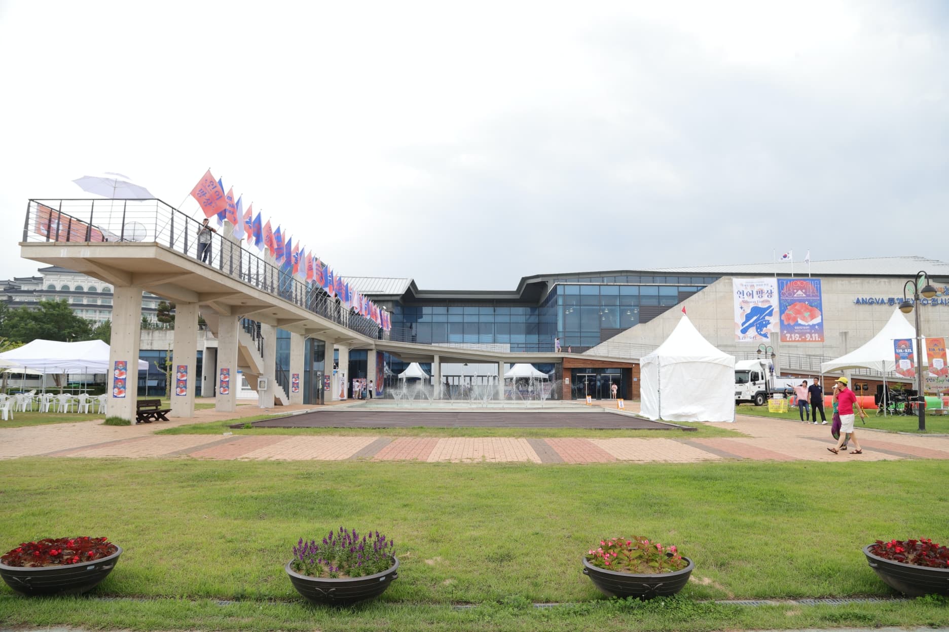 2019 망상연어페스타: 동해의 낭만, 연어의 망상 - 6