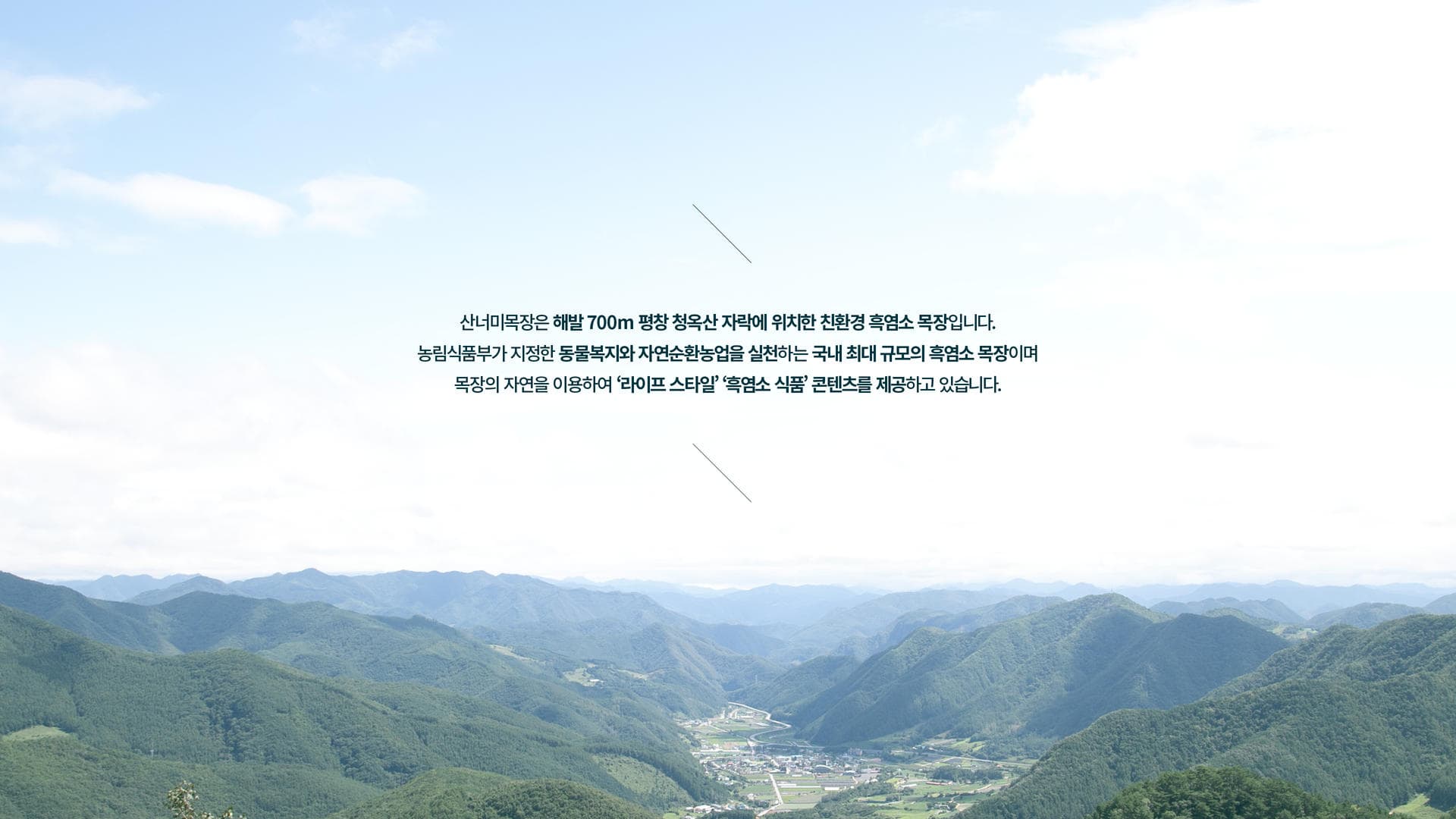 산너미목장 브랜드 디자인 - 2