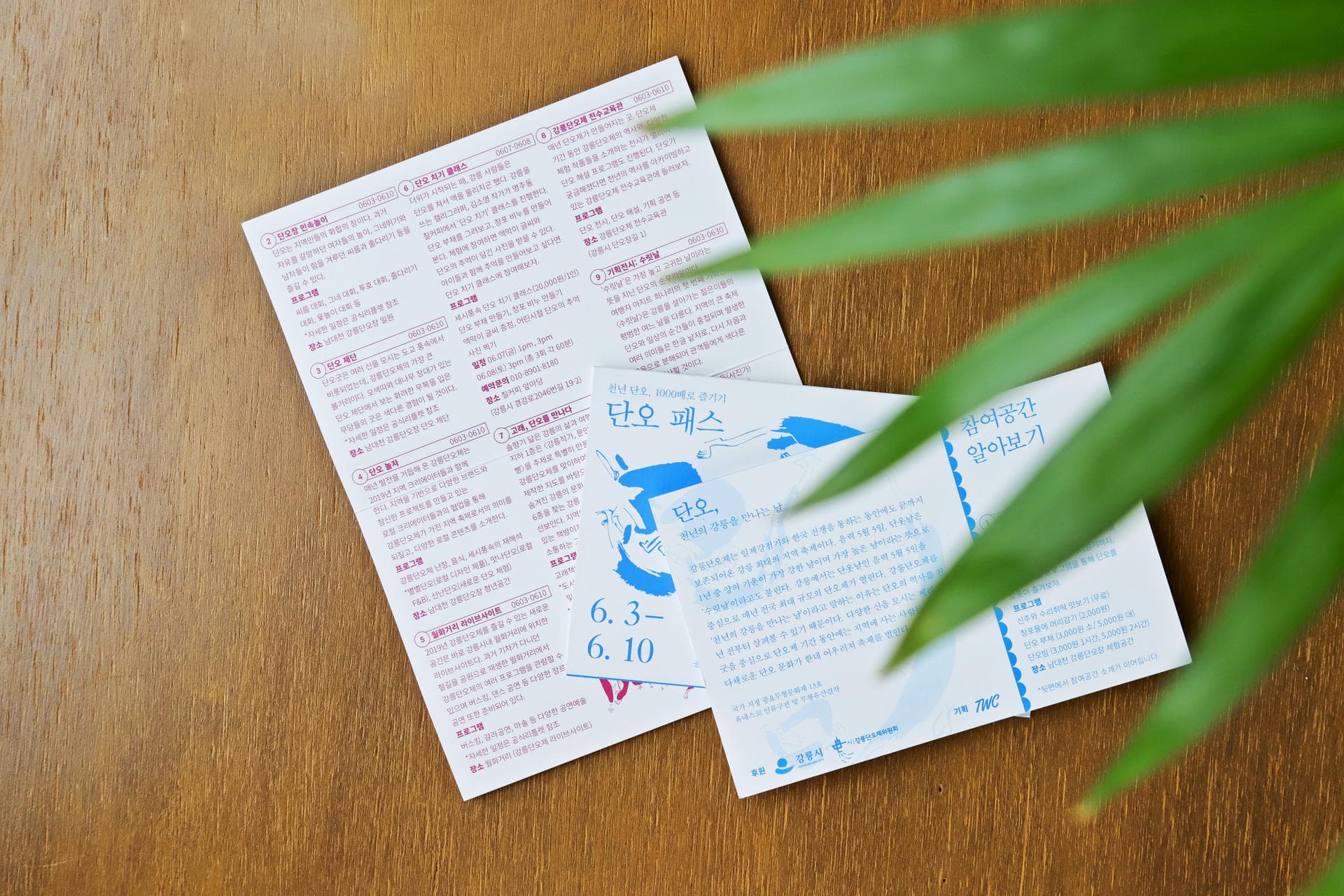 2019 강릉단오제 단오패스 - 3