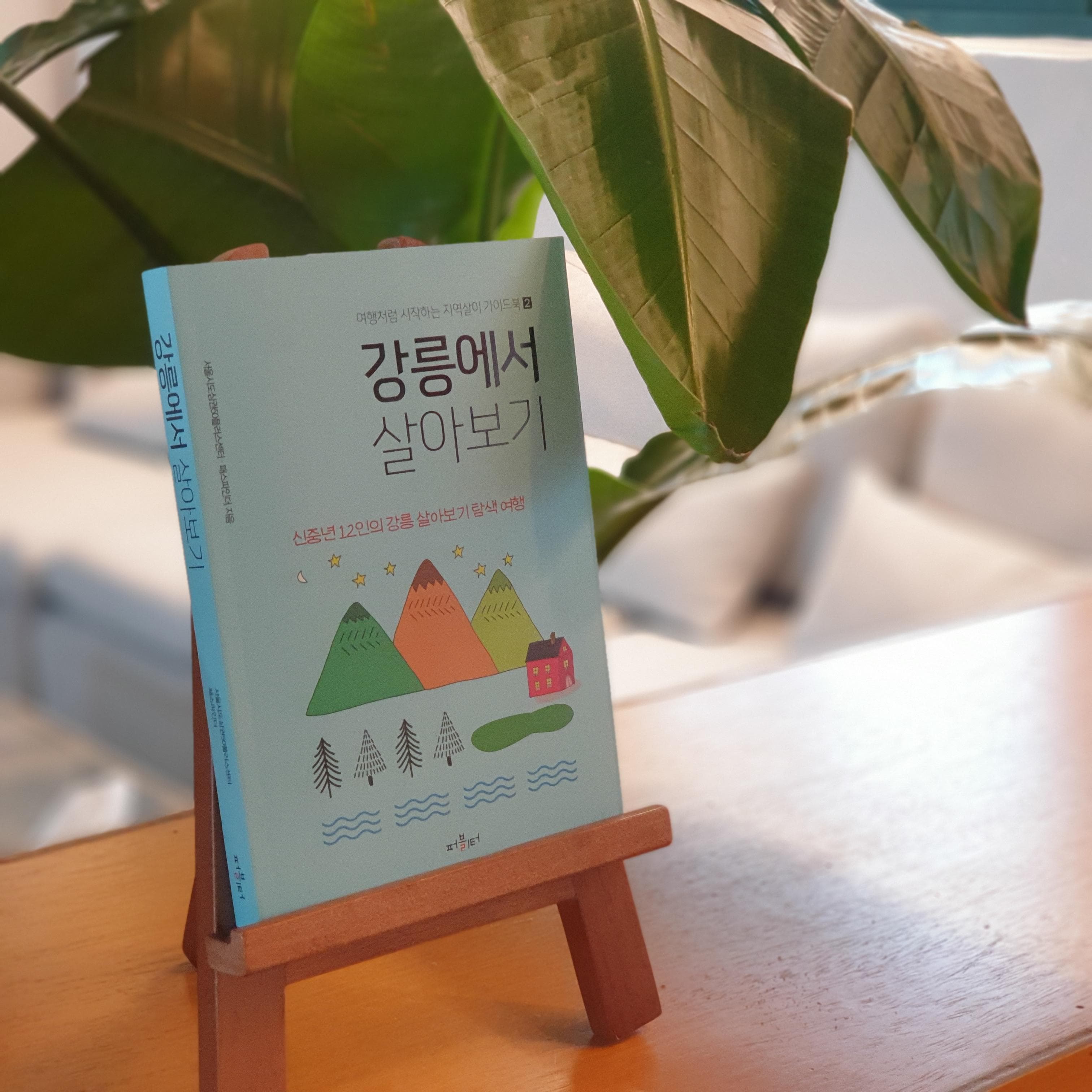 [파도의 시선]  머물다보니 달리 보이는 로컬, 그리고 인생 2차전 『강릉에서 살아보기』