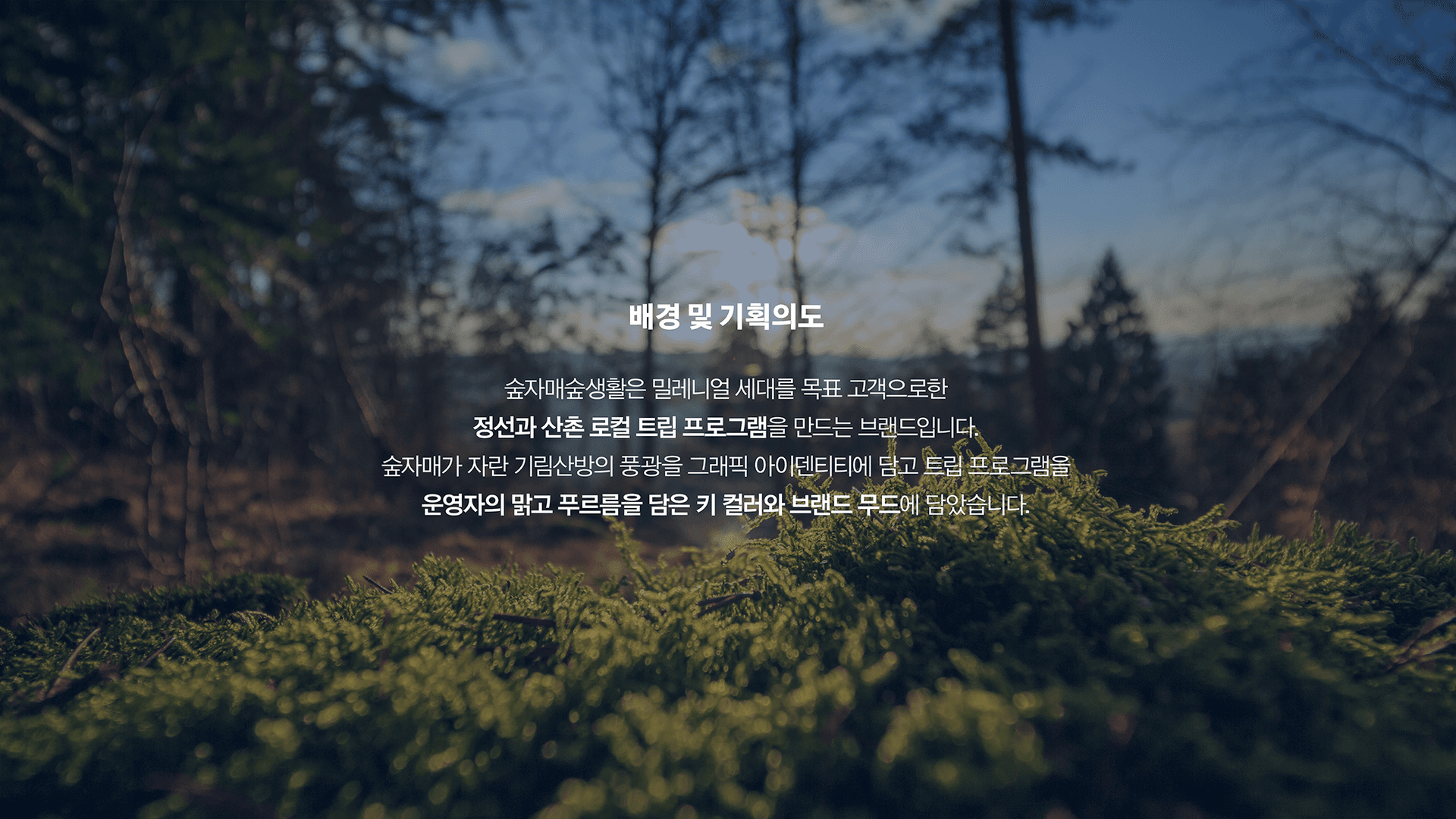 숲자매숲생활 브랜드 아이덴티티 디자인 - 3