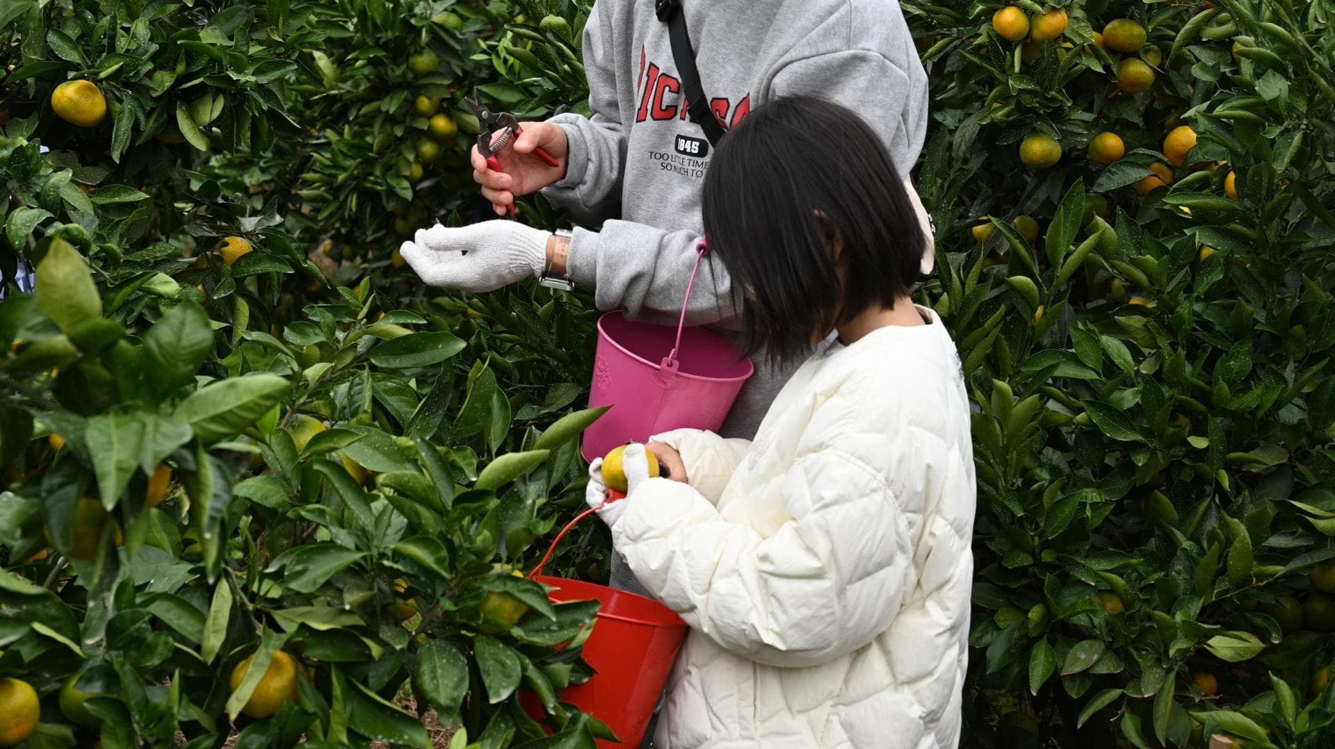 강릉시 드림 스타트 가족 행복 충전 여행 프로그램 - 8