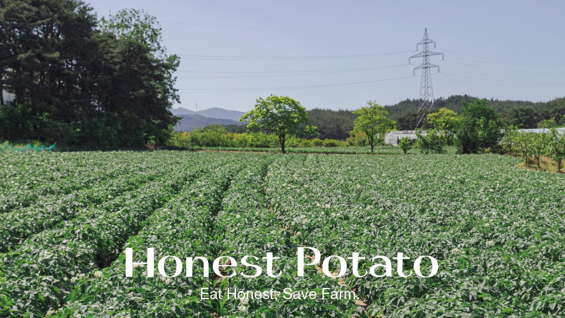 Honest Farm 브랜드 디자인 - 6