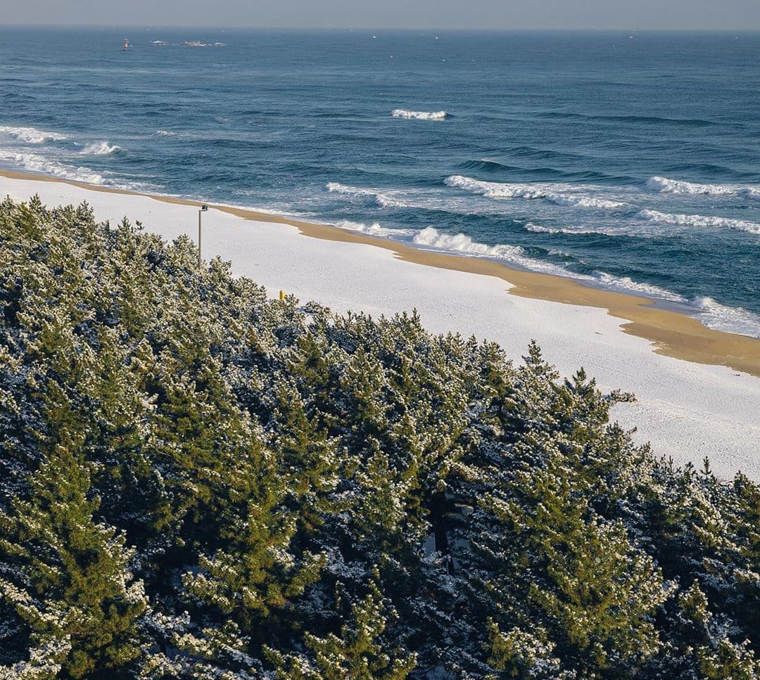 LO:COLOR 로컬러 - 9