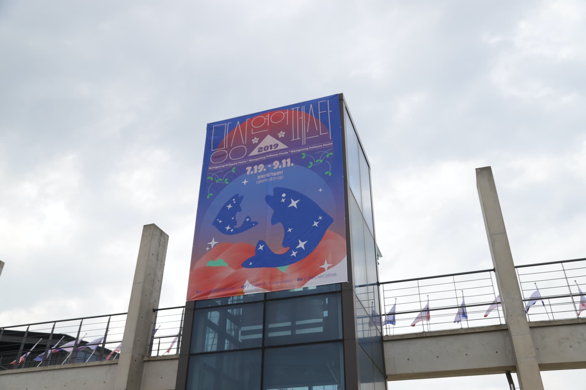 2019 망상연어페스타: 동해의 낭만, 연어의 망상 - 7