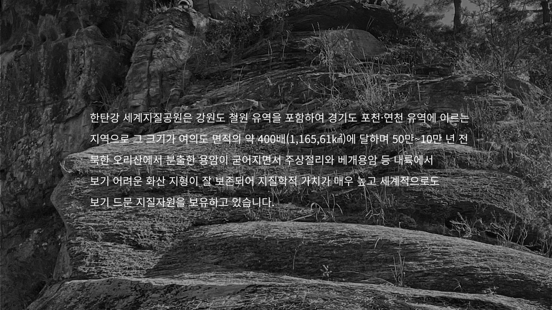 지오기프트 브랜드 디자인 - 4