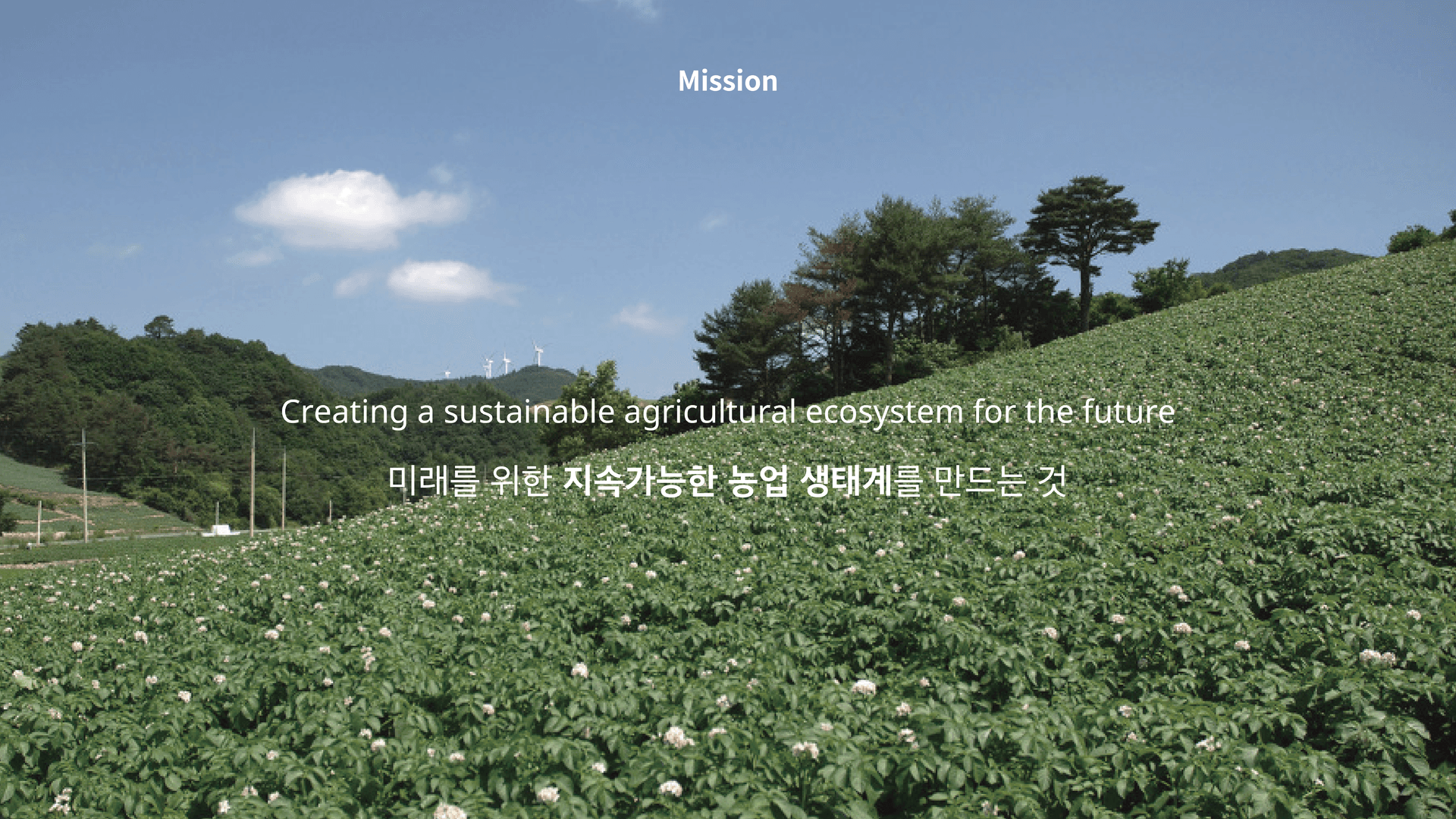 더루트컴퍼니 브랜드 디자인 - 3