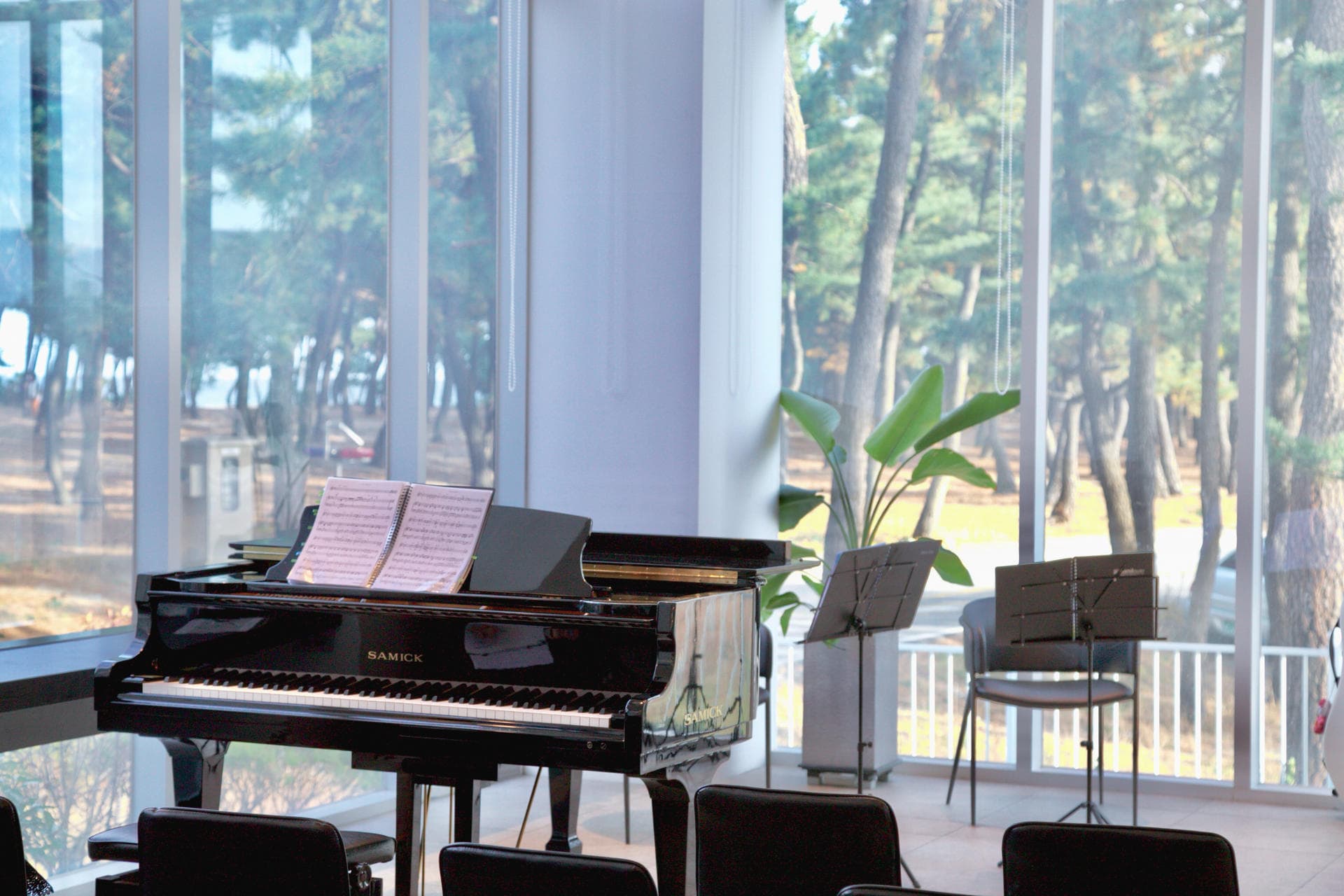 살드뮤지끄 로비음악회: 솔숲과 해변 앞 클래식 - 2