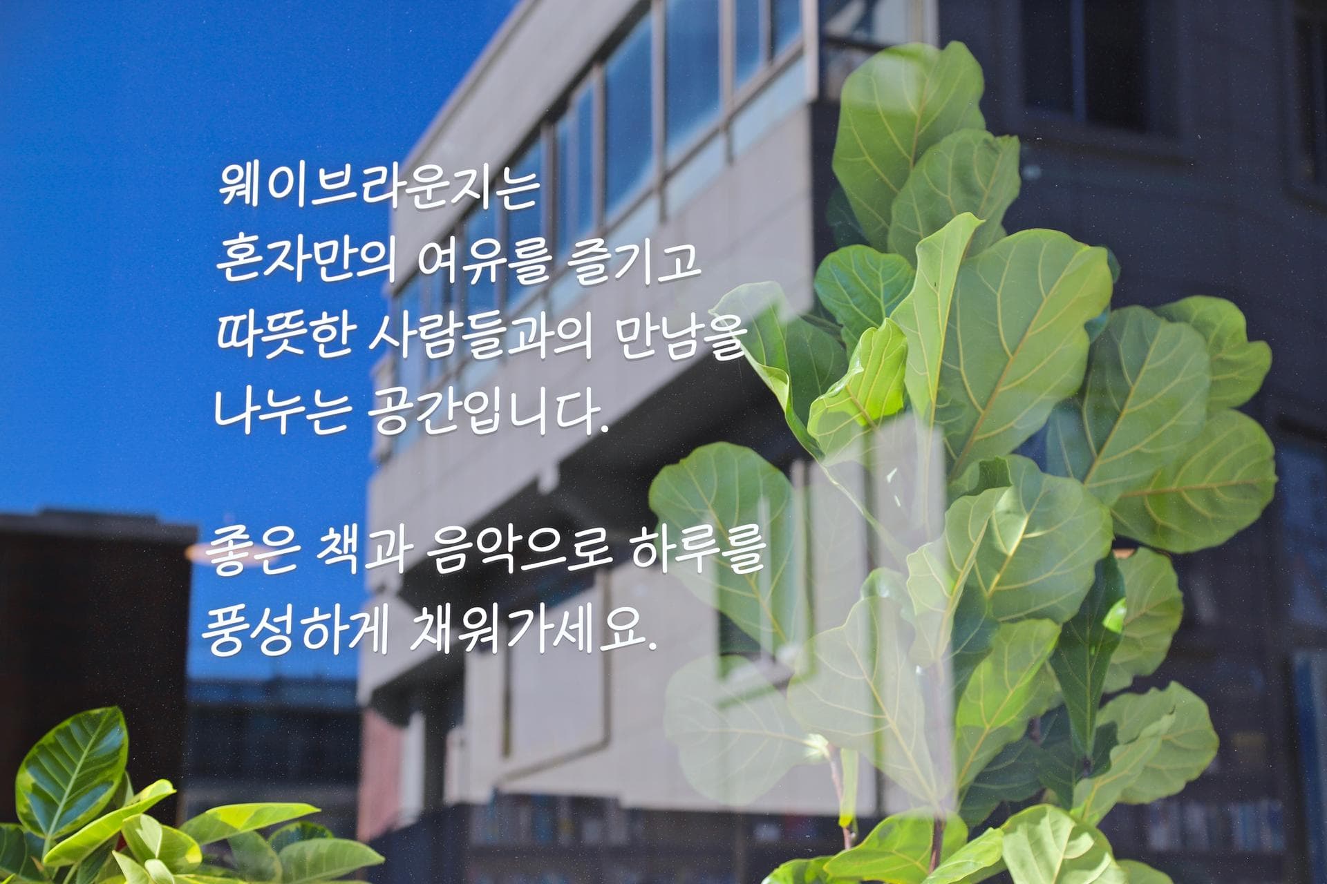 웨이브라운지: 크리에이티브 커뮤니티 공간