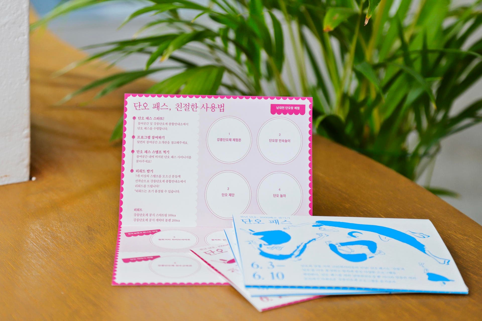 2019 강릉단오제 단오패스