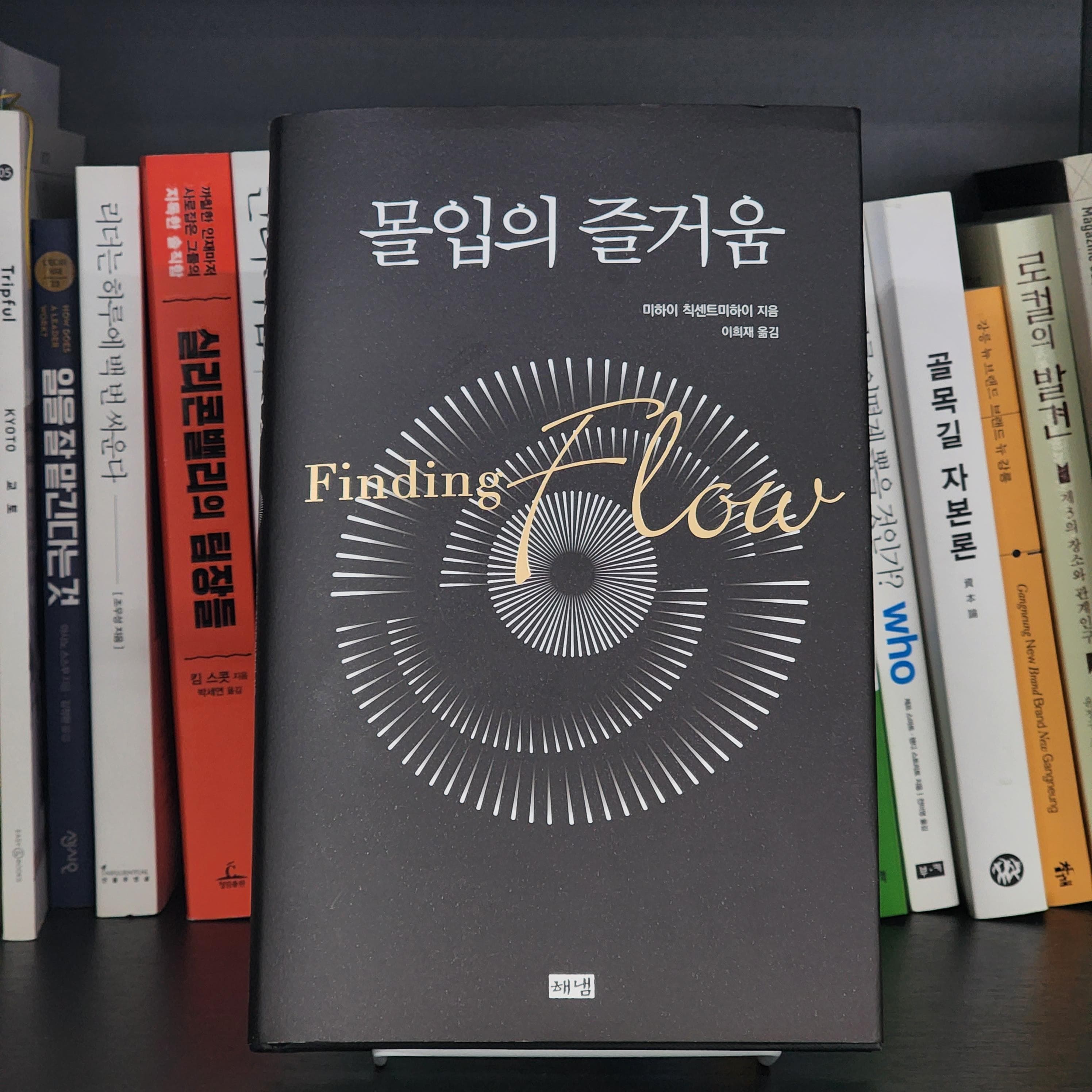 [파도의 시선]  심리학자가 바라보는 일상의 몰입과 성장 『몰입의 즐거움』