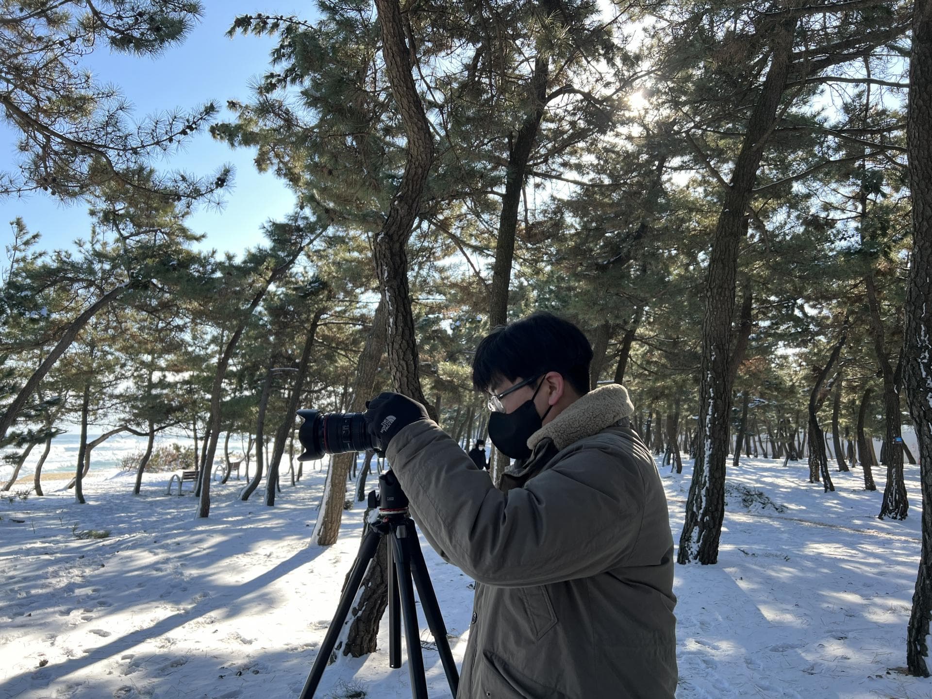  [더웨이브컴퍼니] 디렉터 진명근