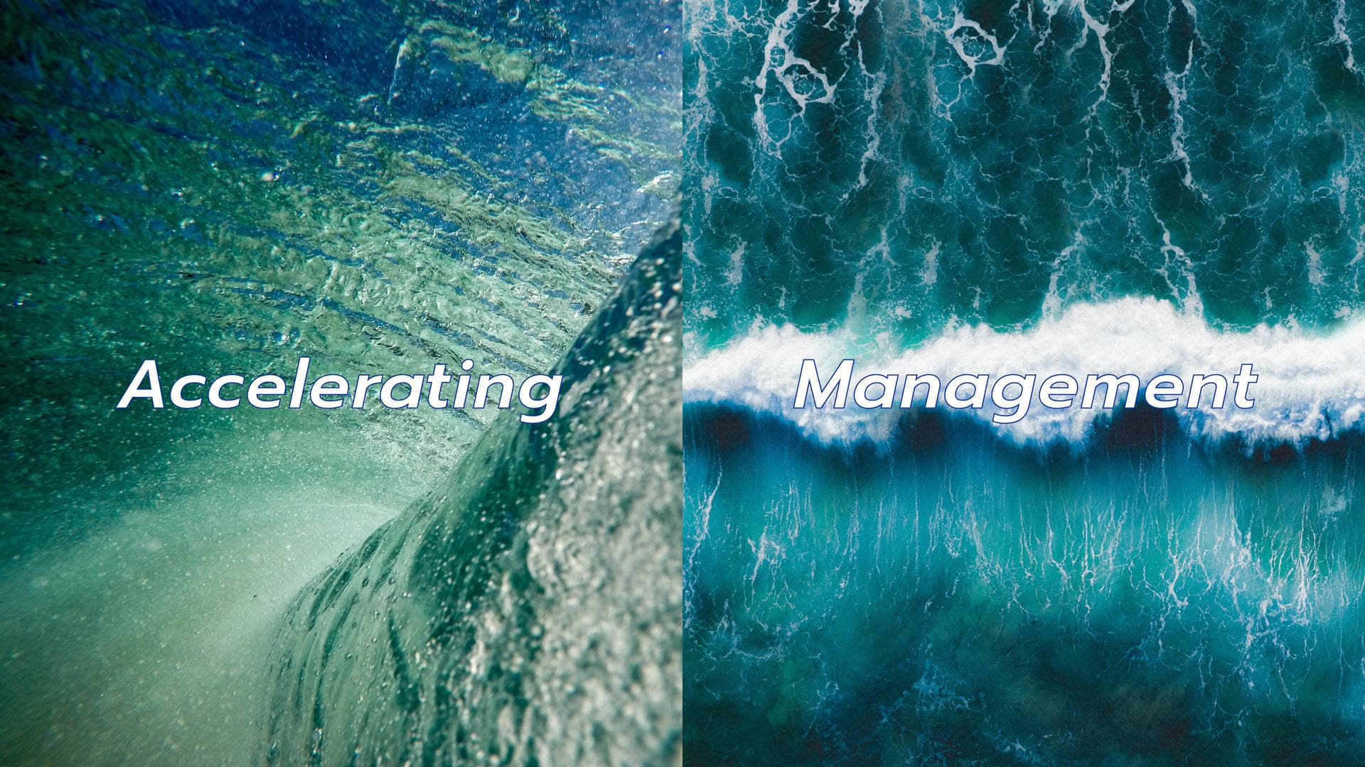 뉴웨이브 브랜드 디자인 - 6