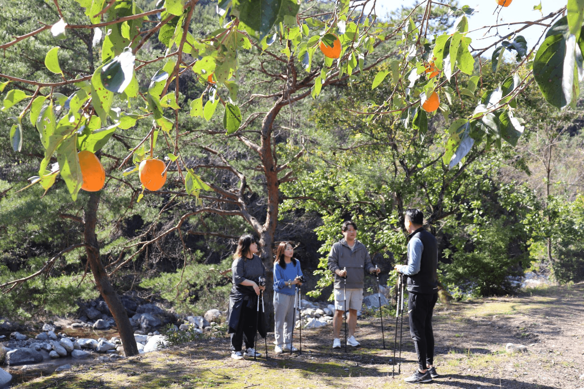 강릉 농촌, 한옥형 워케이션 기획 및 운영 : 소금별 - 8