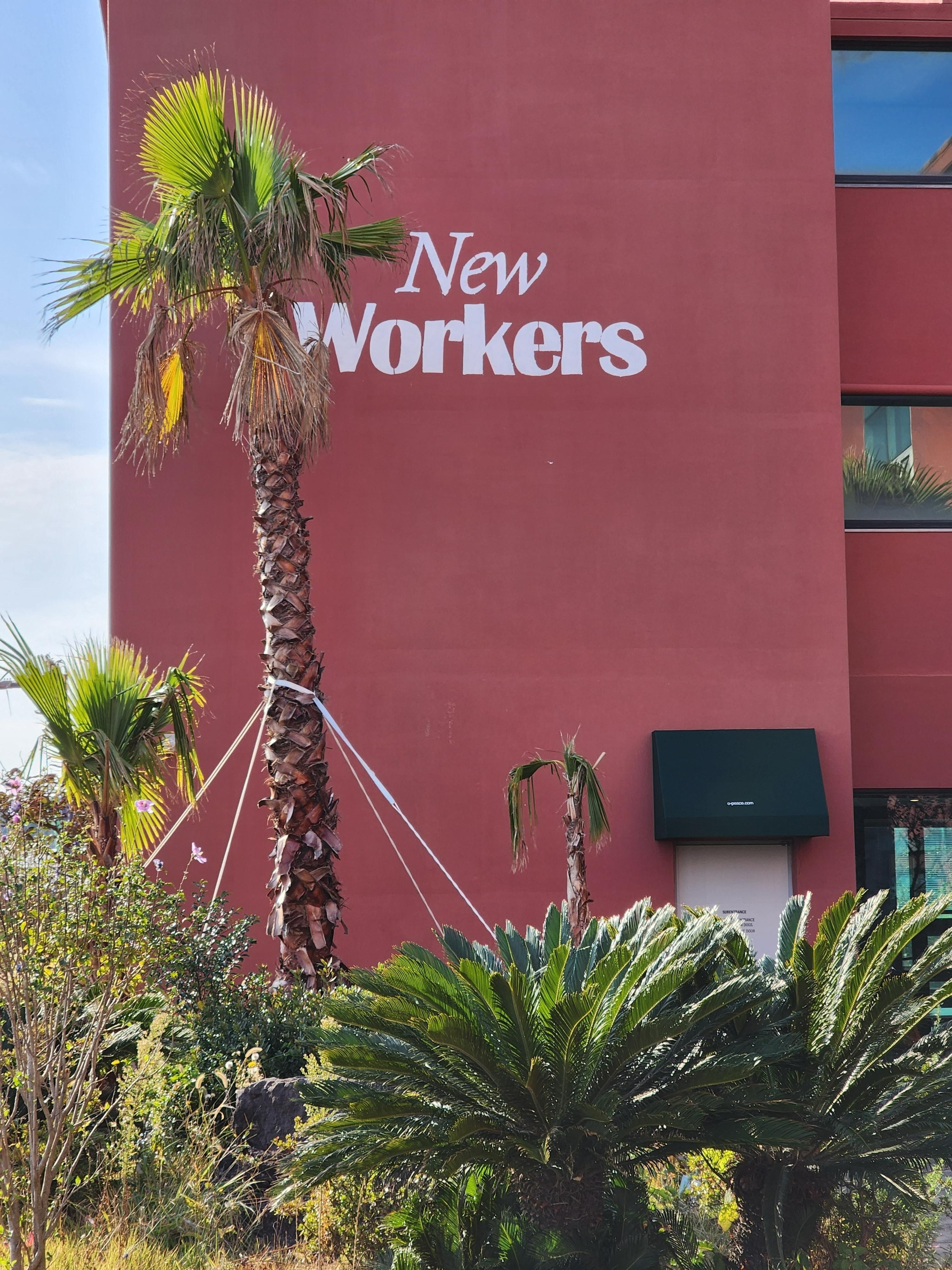 제주 워케이션 탐방기